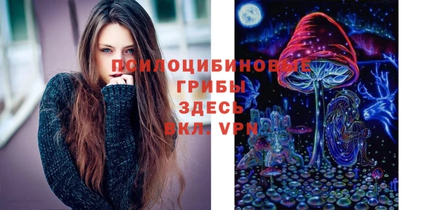 мдпв Наволоки