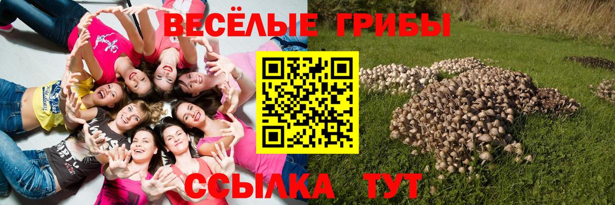 Псилоцибиновые грибы MAGIC MUSHROOMS Сафоново