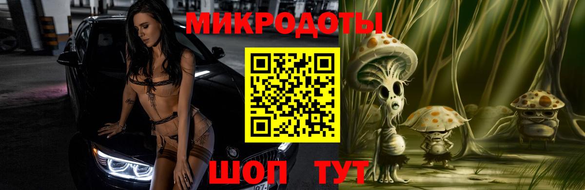 Сафоново  Псилоцибиновые грибы Psilocybe  Вход с VPN 