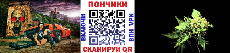 где купить наркоту  Сафоново  Бошки марихуана VHQ 